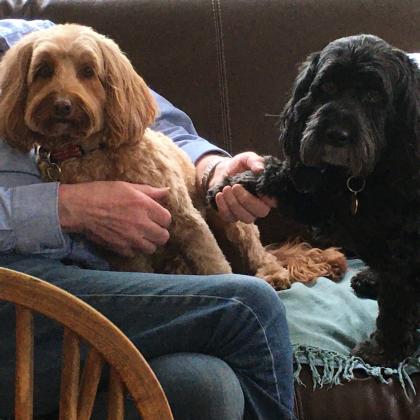 Sheila Werry   LN/000001469 Dog Boarder in Sutton Coldfield, West Midlands) ?>